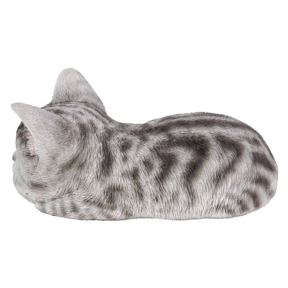 Grey Tabby Kitten Sleeping