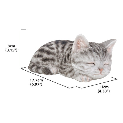 Grey Tabby Kitten Sleeping