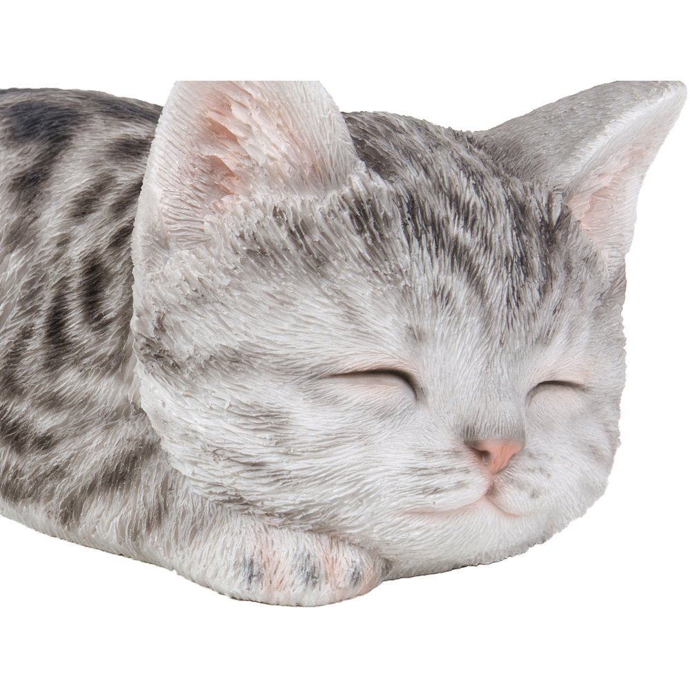 Grey Tabby Kitten Sleeping