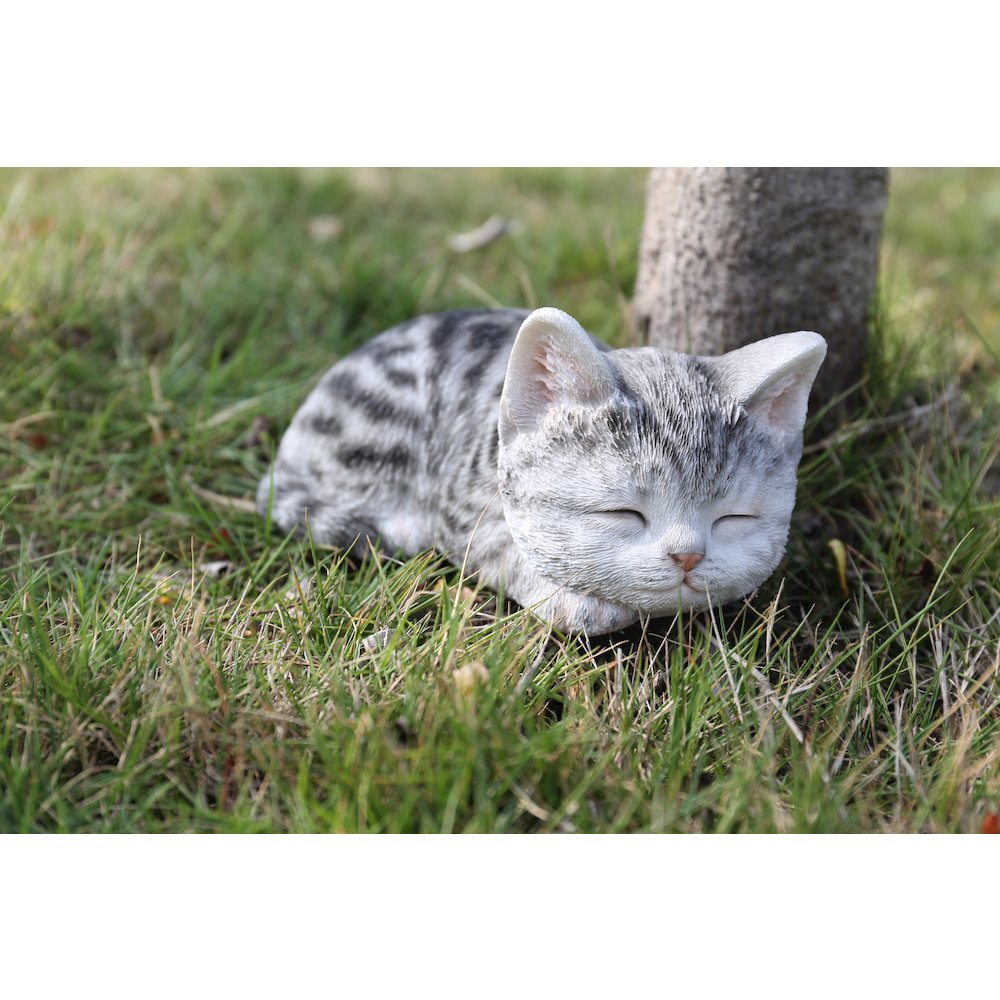 Grey Tabby Kitten Sleeping