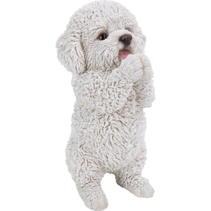 Poodle Puppy Playing Statue