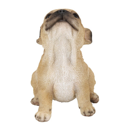 French Bulldog Puppy Howling