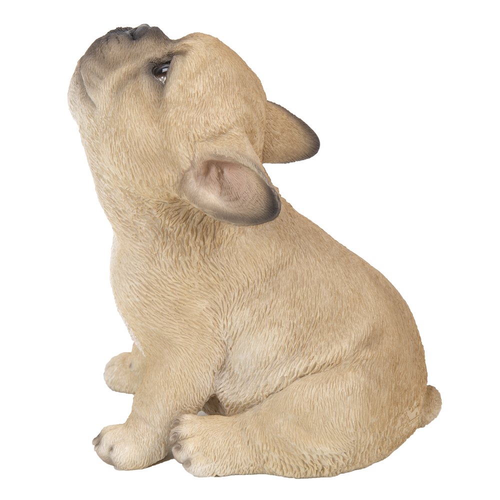 French Bulldog Puppy Howling