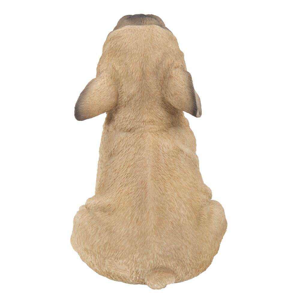 French Bulldog Puppy Howling