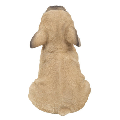 French Bulldog Puppy Howling