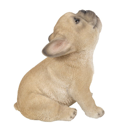 French Bulldog Puppy Howling