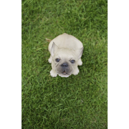 French Bulldog Puppy Howling