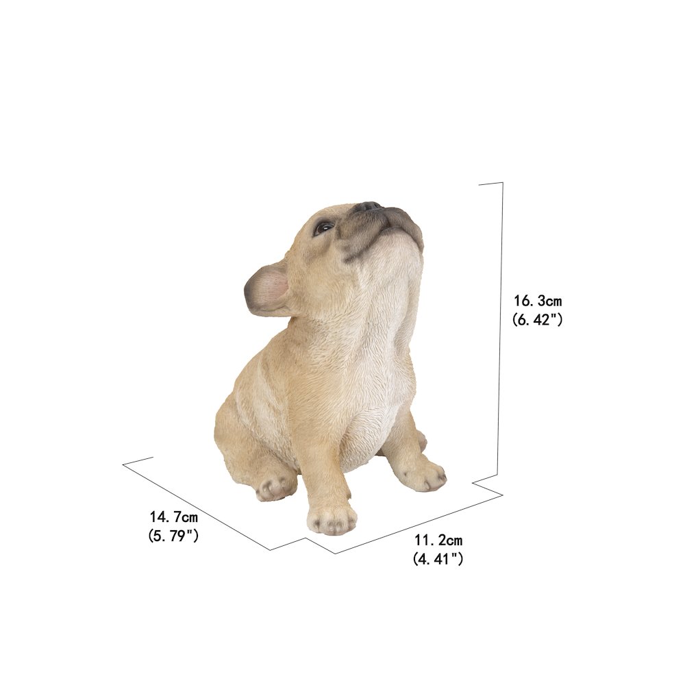 French Bulldog Puppy Howling