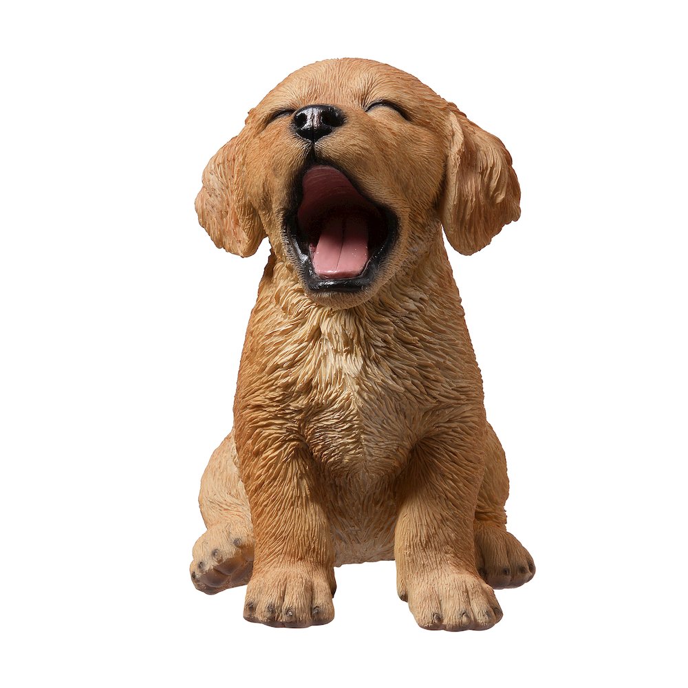 Yawning Golden Retriever (Hi-Line Exclusive)
