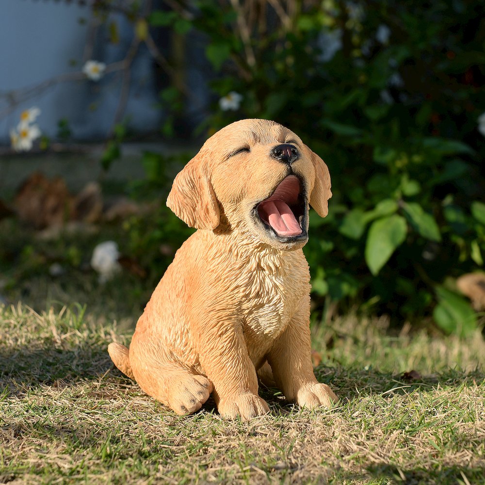 Yawning Golden Retriever (Hi-Line Exclusive)