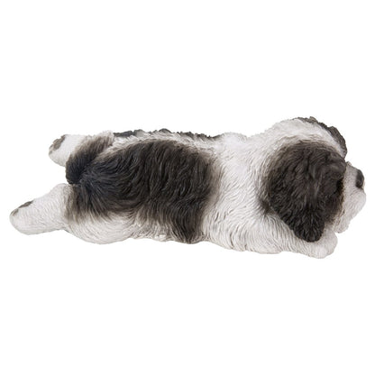 Black/White Shih Tzu Puppy Sleeping