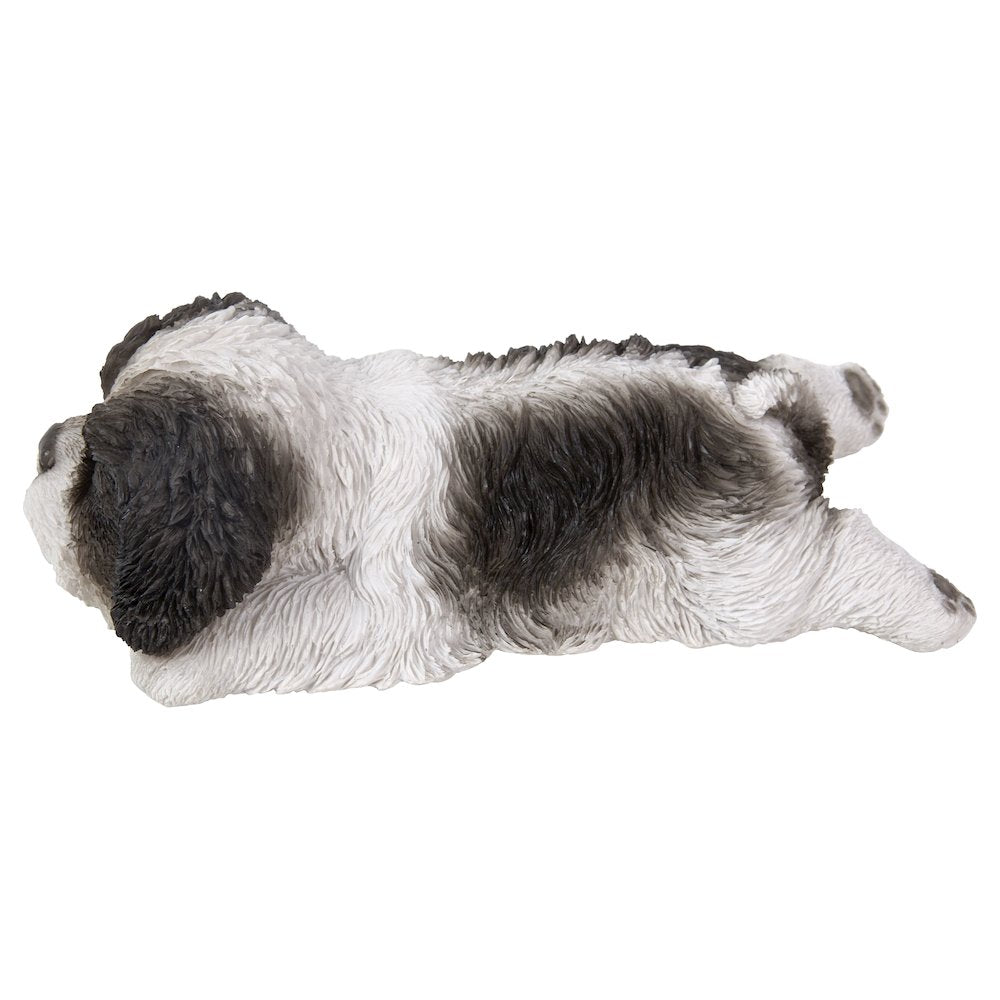 Black/White Shih Tzu Puppy Sleeping