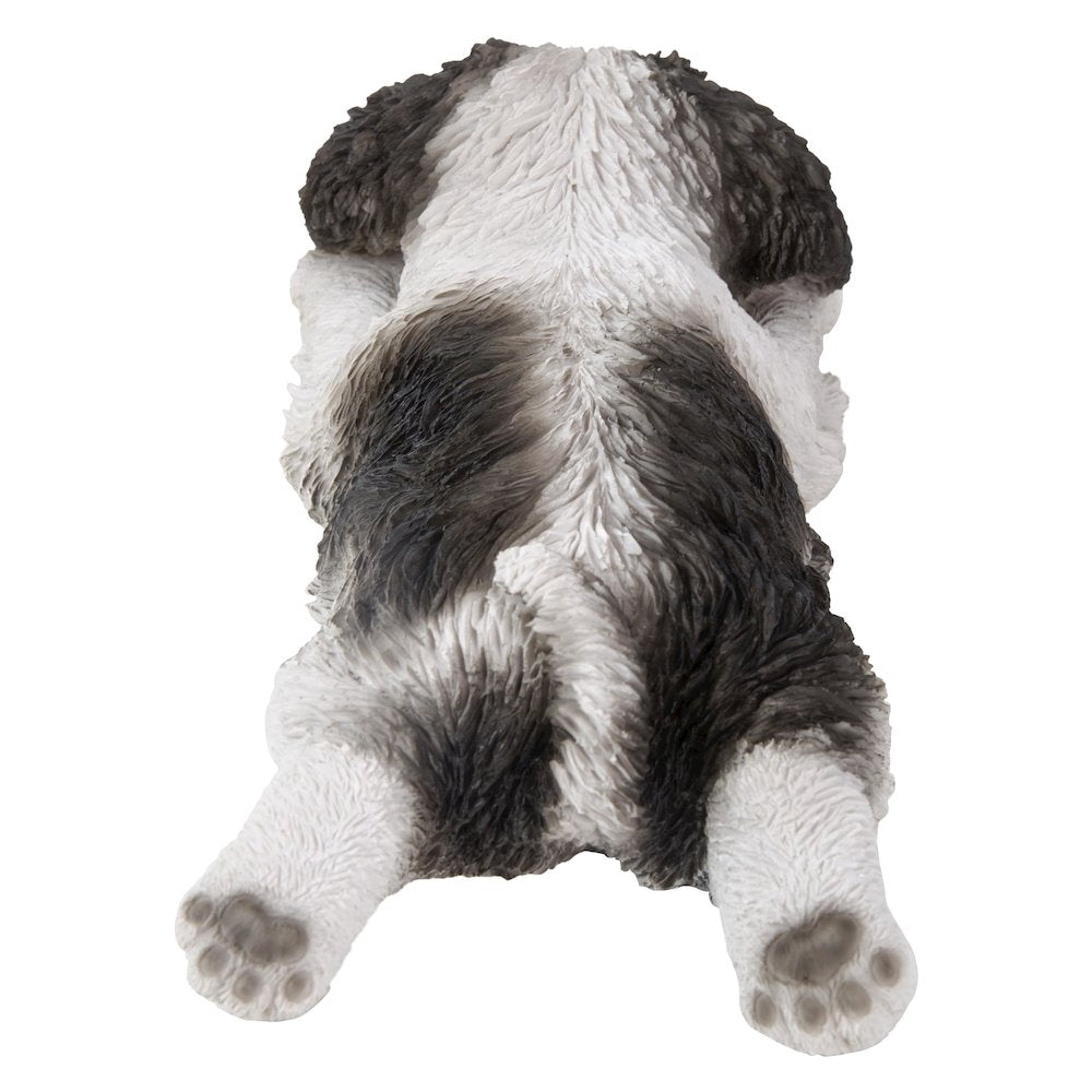 Black/White Shih Tzu Puppy Sleeping