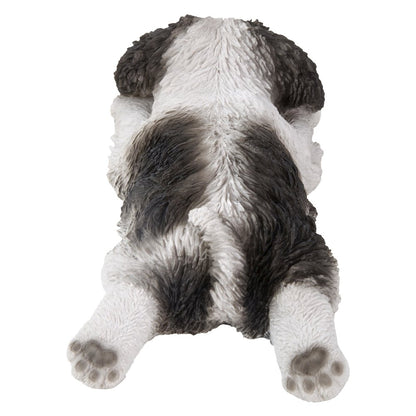 Black/White Shih Tzu Puppy Sleeping