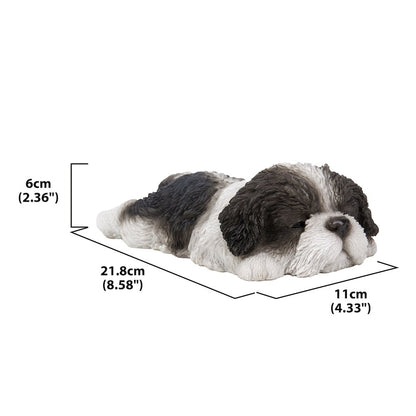 Black/White Shih Tzu Puppy Sleeping