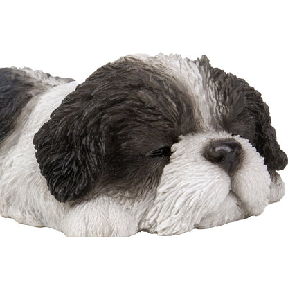 Black/White Shih Tzu Puppy Sleeping