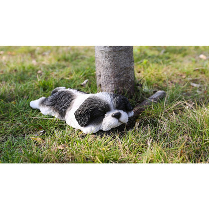 Black/White Shih Tzu Puppy Sleeping