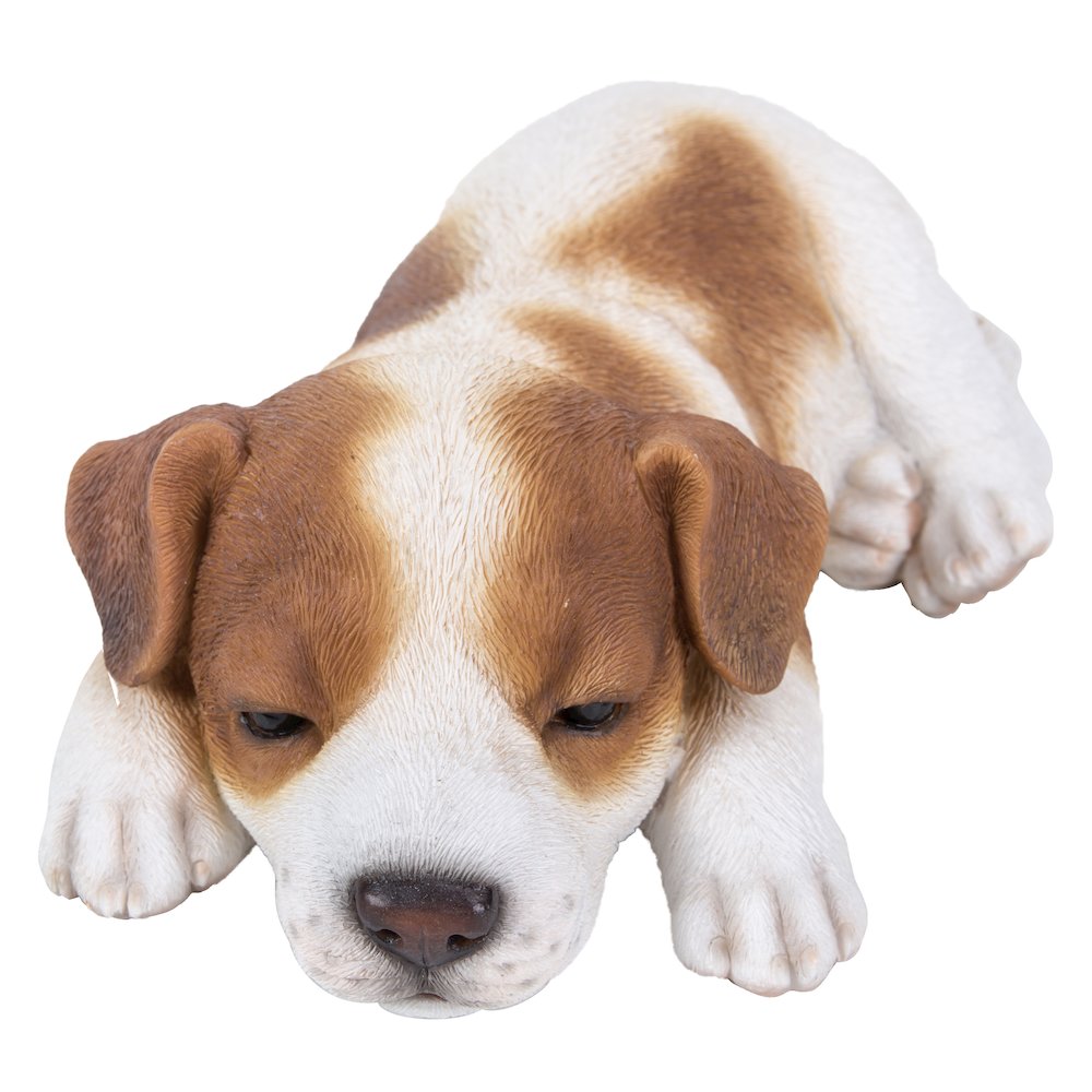 Jack Russell Puppy Sleeping