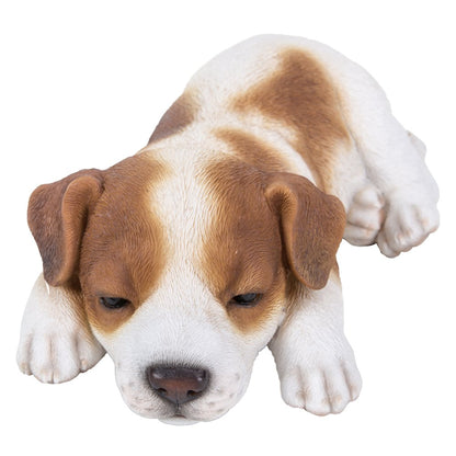 Jack Russell Puppy Sleeping