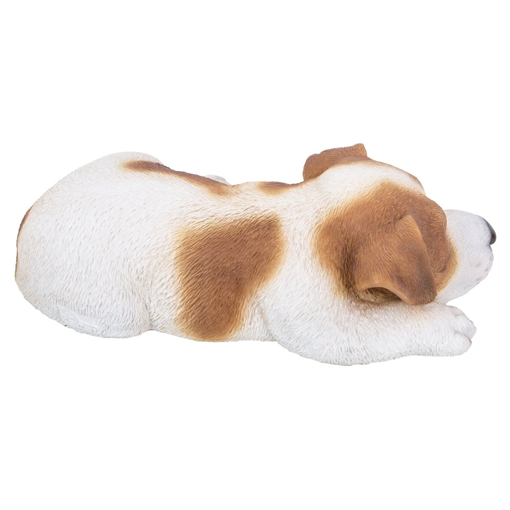 Jack Russell Puppy Sleeping