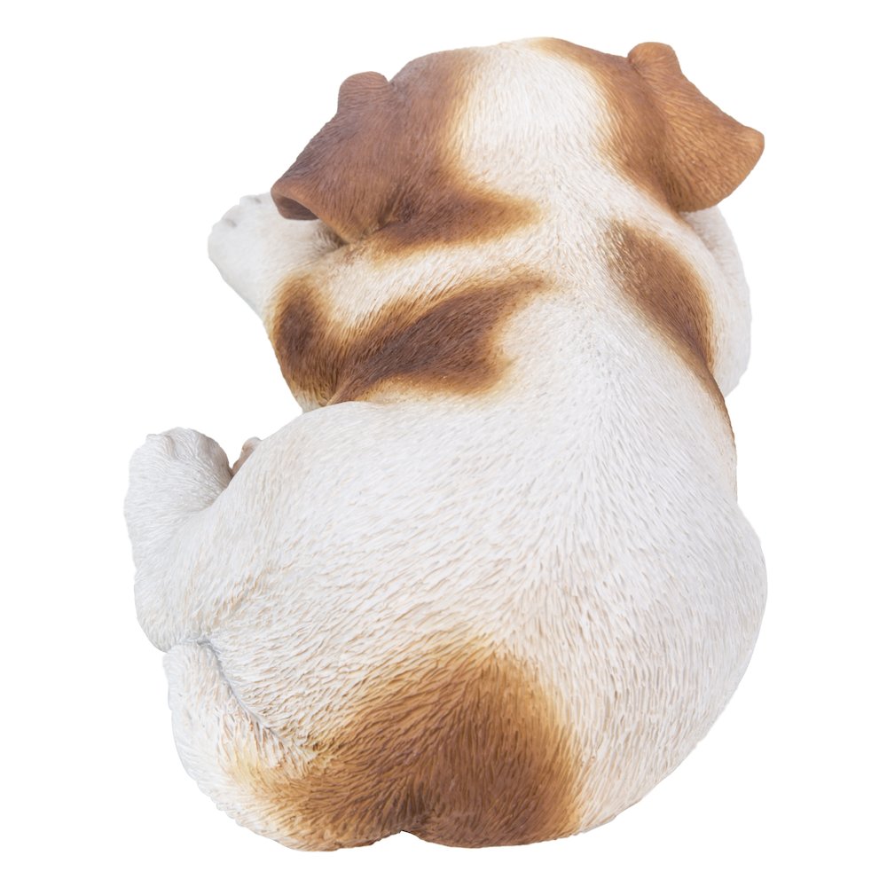 Jack Russell Puppy Sleeping
