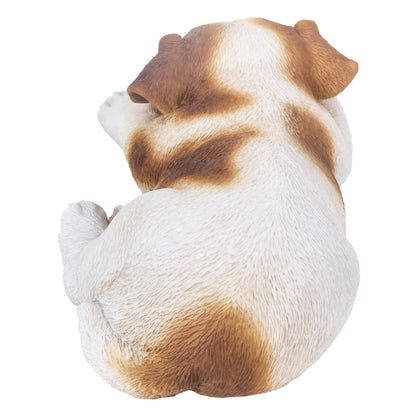 Jack Russell Puppy Sleeping