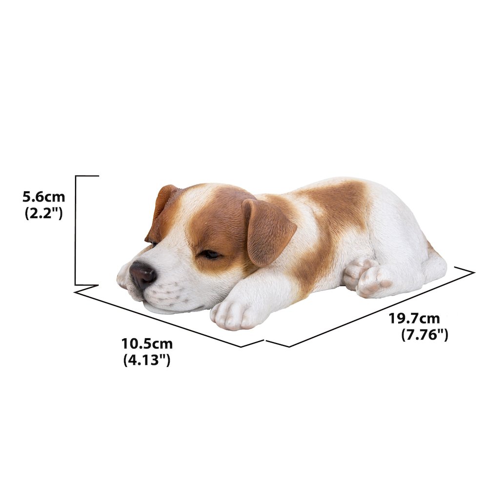 Jack Russell Puppy Sleeping