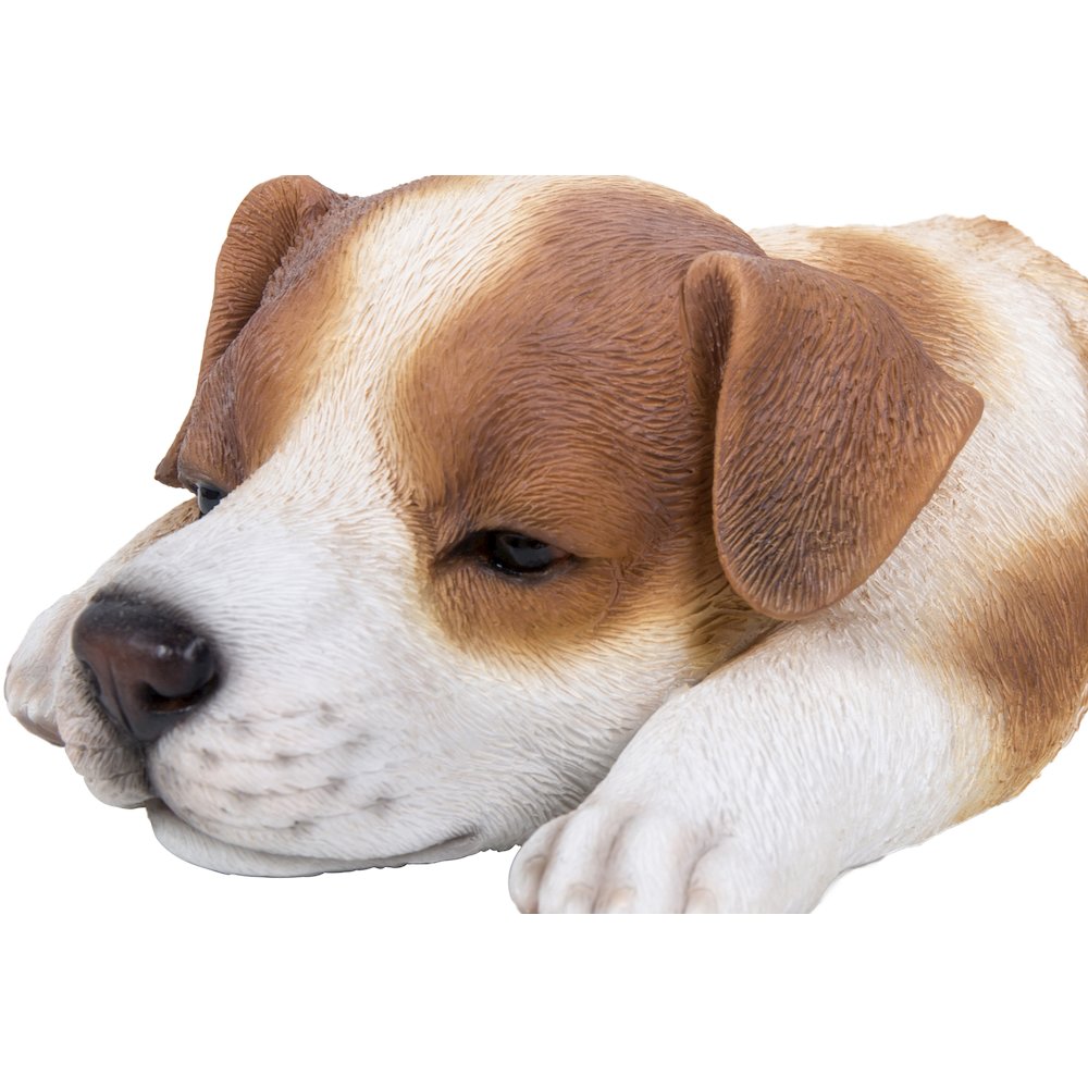 Jack Russell Puppy Sleeping