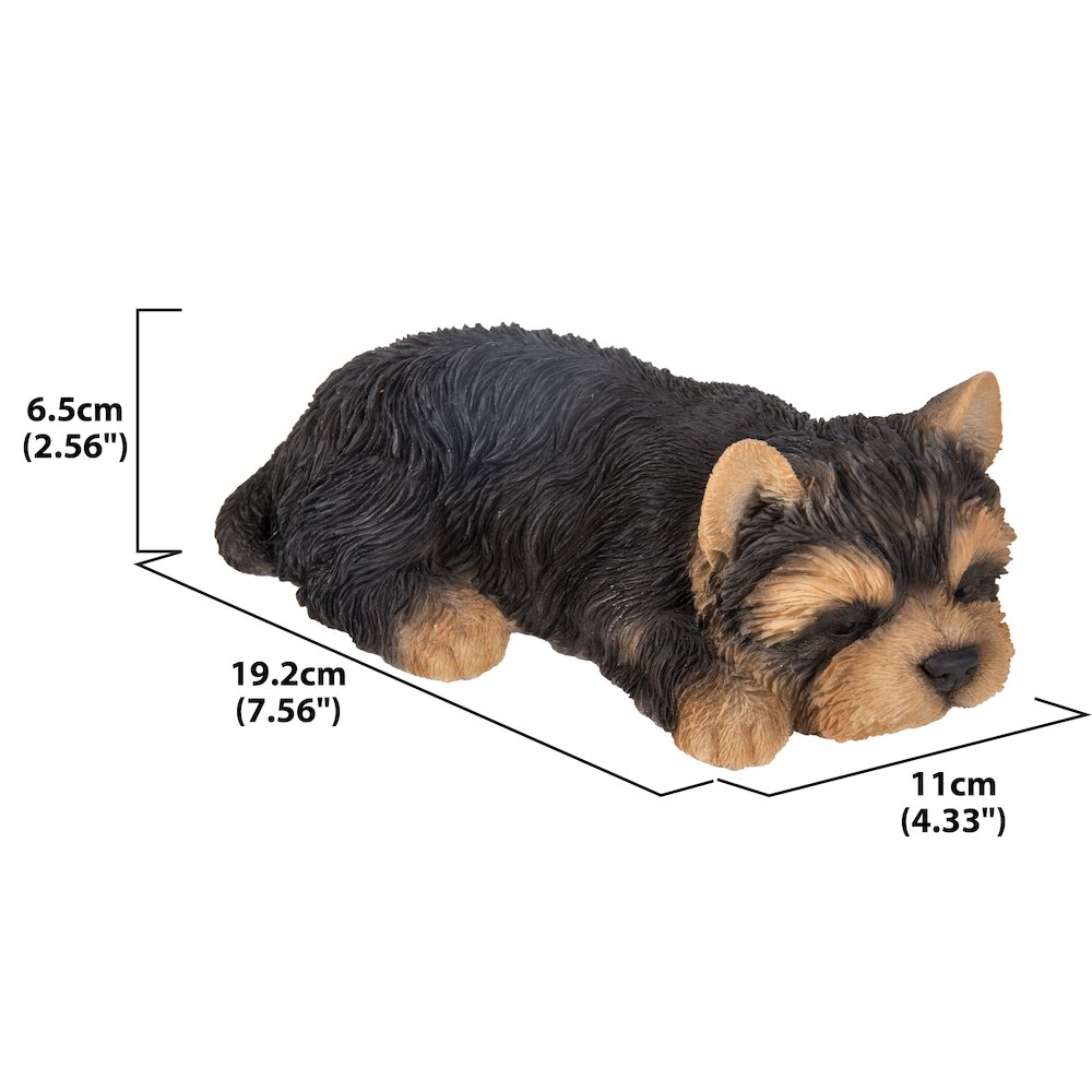 Yorkshire Terrier Puppy Sleeping
