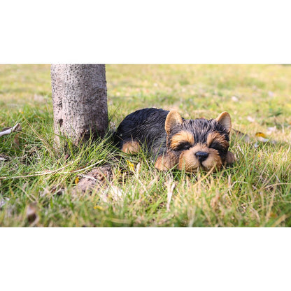 Yorkshire Terrier Puppy Sleeping