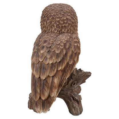 Brown Owl On Stump