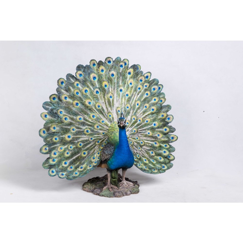Peacock W/Feathers Out Statue