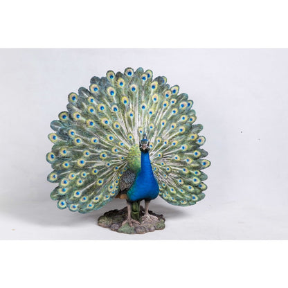Peacock W/Feathers Out Statue