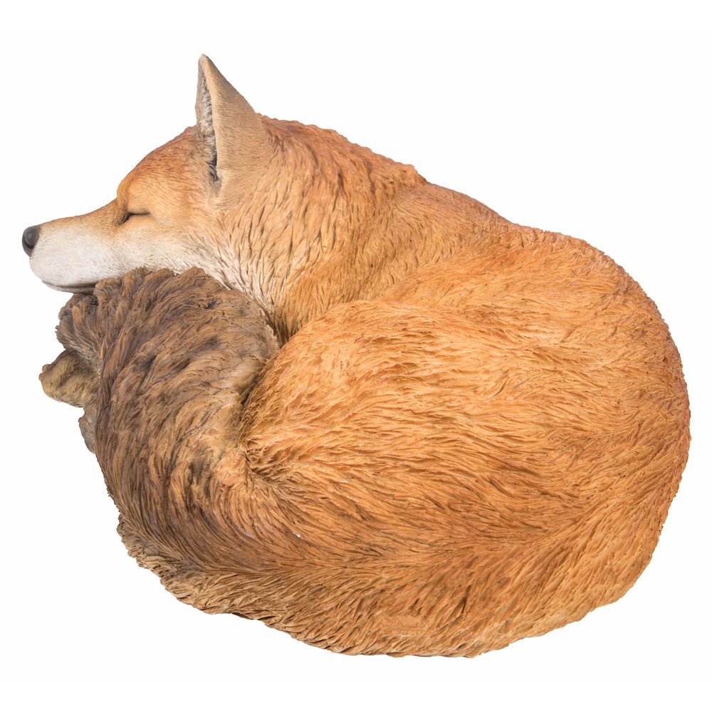 Fox Sleeping