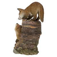 Fox Pups Playing