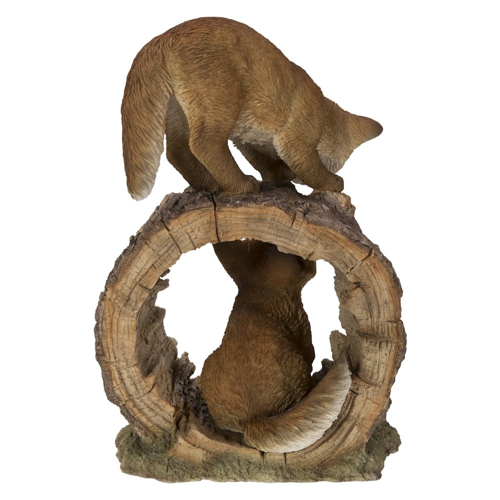 Fox Pups Playing