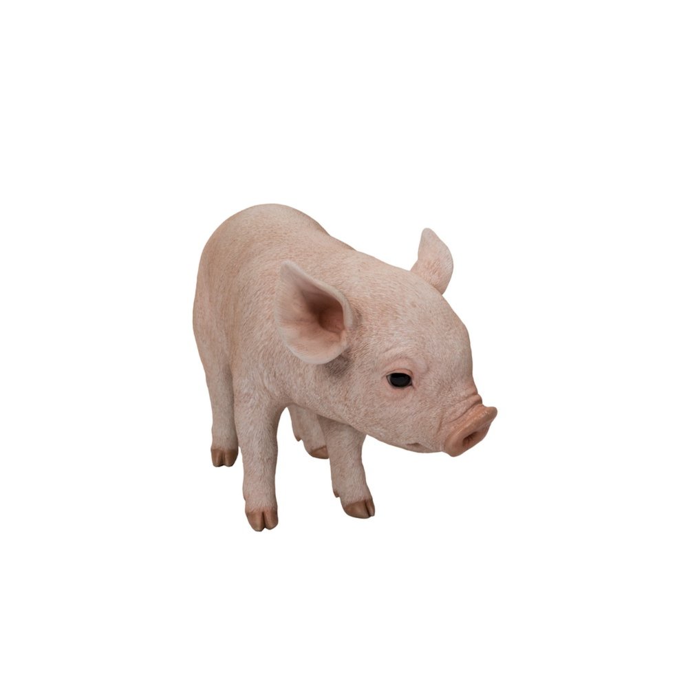 Standing Baby Pig