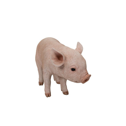 Standing Baby Pig