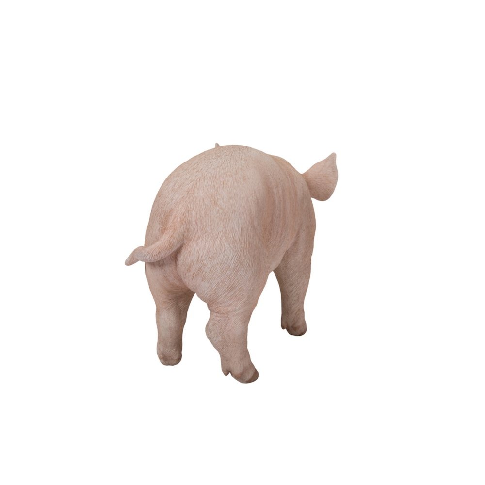 Standing Baby Pig