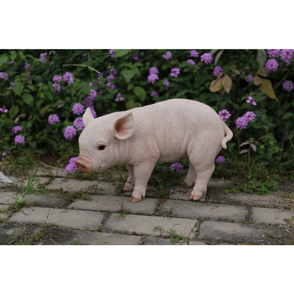 Standing Baby Pig