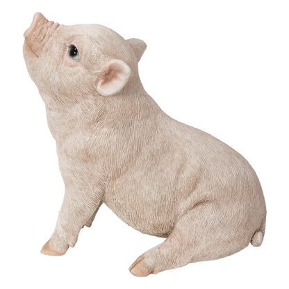 Baby Pig Sitting - Pink