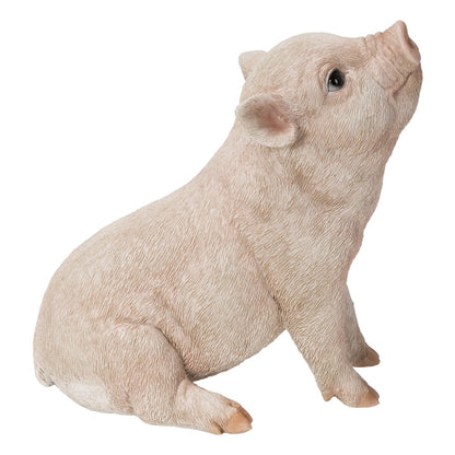 Baby Pig Sitting - Pink