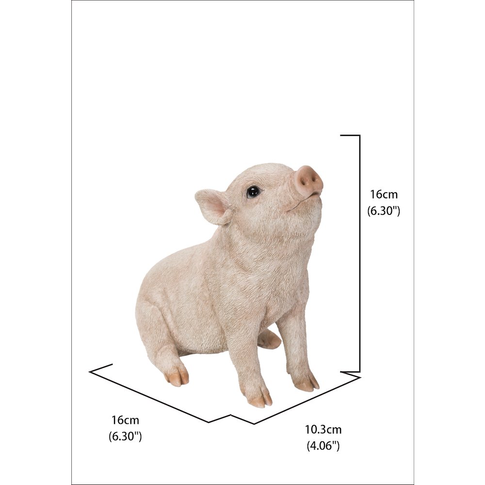 Baby Pig Sitting - Pink