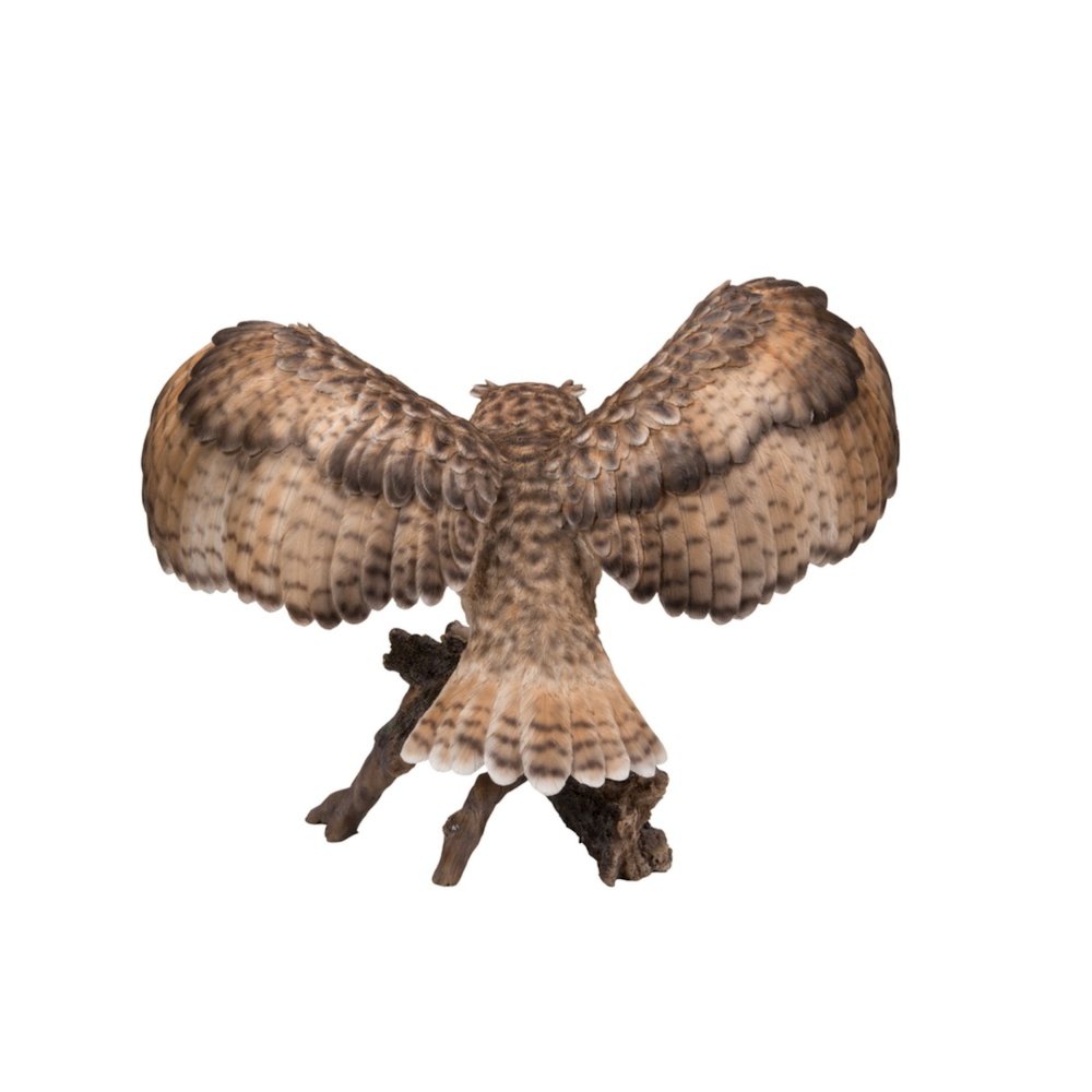Eagle Owl On Branch W/Wings Out