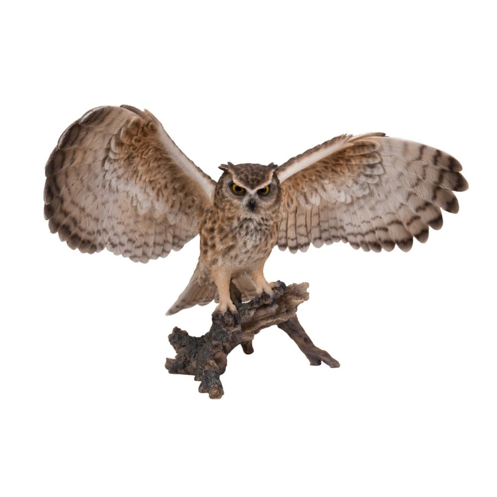 Eagle Owl On Branch W/Wings Out