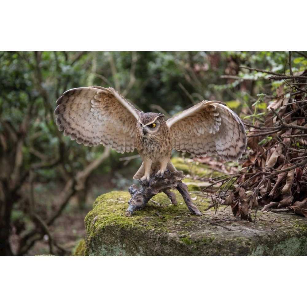 Eagle Owl On Branch W/Wings Out