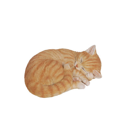 Orange Tabby Cat Sleeping Lying Down