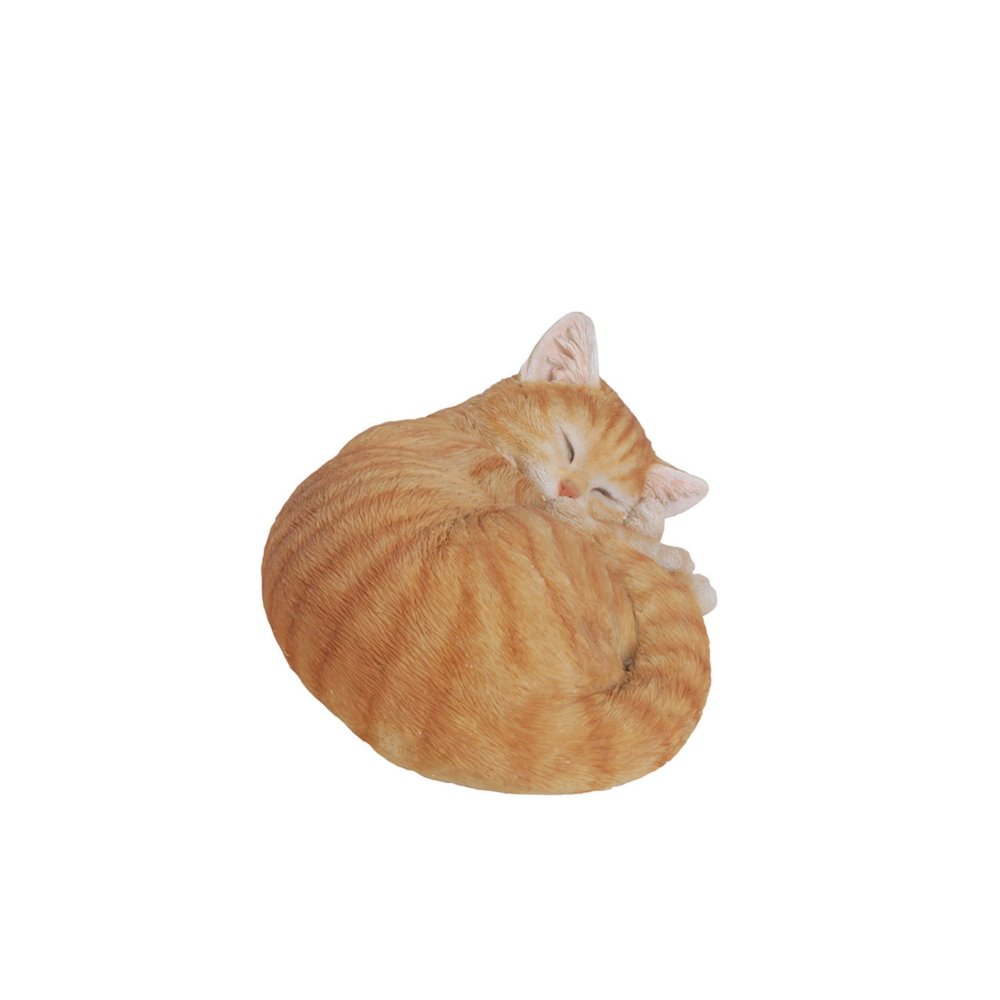 Orange Tabby Cat Sleeping Lying Down