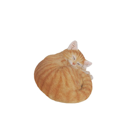 Orange Tabby Cat Sleeping Lying Down