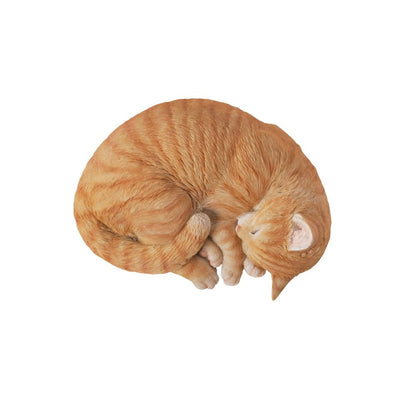 Orange Tabby Cat Sleeping Lying Down